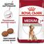 Сухой корм для стареющих собак Royal Canin Medium Adult 7+, 15 кг (3005150) - миниатюра 4