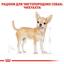 Сухой корм для взрослых собак породы Чихуахуа Royal Canin Chihuahua Adult, 3 кг (2210030) - миниатюра 3