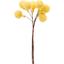 Декоративні кульки мімози Yes! Fun на стеблі 2 см жовті 9 шт. (974164) - мініатюра 1