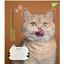 Набір зошитів Yes Adventurous Cats, А5, в клітинку, 24 аркуша, 20 шт. (766630) - мініатюра 2