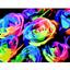 Картина за номерами ZiBi Art Line Веселкові троянди 40х50 см (ZB.64148) - мініатюра 1
