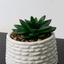 Горщик зі штучною рослиною МВМ My Home, 10 см, білий (DH-FLOWERS-12 GREEN/WHITE) - мініатюра 2