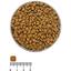 Сухой корм для кошек Екко-гранула Ежедневный, 10 кг - миниатюра 2