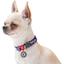 Ошейник для собак Waudog Nylon Фиолетовый камо, c QR паспортом, металлическая пряжка-фастекс, 35-58х2,5 см - миниатюра 4