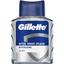 Лосьйон після гоління Gillette Series Sea Mist, відновлювальний, 100 мл - мініатюра 1