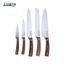 Набір кухонних ножів Heinner Damascus Style з фіксованим лезом, 6 предметів (HR-EVI-6DSC) - мініатюра 2