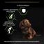 Сухий корм Purina Pro Plan Small & Mini Puppy <1 Healthy Start для цуценят дрібних порід з куркою 700 г (12272382) - мініатюра 7