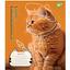Набор тетрадей Yes Adventurous Cats, А5, в клетку, 24 листа, 20 шт. (766630) - миниатюра 5
