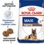 Сухой корм для стареющих собак крупных пород Royal Canin Maxi Ageing 8+, 15 кг (2454150) - миниатюра 4