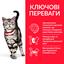 Сухой корм для взрослых кошек Hill's Science Plan Adult Hairball Indoor, для выведения комочков шерсти из желудочно-кишечного тракта, с курицей, 300 г (604112) - миниатюра 4