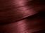 Фарба для волосся Garnier Color Naturals, відтінок 4.6 (Дика вишня), 110 мл (C4432026) - мініатюра 2