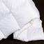 Одеяло пуховое MirSon Raffaello 063, евростандарт, 220x200, белое (2200000075154) - миниатюра 2