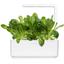 Сменный картридж Click & Grow Smart Garden Салат Ромен, 3 капсулы (8820) - миниатюра 5