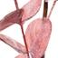 Гілка декоративна Yes! Fun Евкаліпт засніжена 84 см рожева (974806) - мініатюра 2