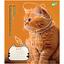 Набір зошитів Yes Adventurous Cats, А5, в клітинку, 24 аркуша, 20 шт. (766630) - мініатюра 5