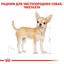 Вологий корм Royal Canin Chihuahua Adult для собак породи Чихуахуа, 85 г (2041001) - мініатюра 2