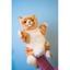М'яка іграшка на руку Hansa Puppet Імбирний кіт, 30 см, білий з помаранчевим (7182) - мініатюра 6