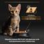 Вологий корм Purina Pro Plan Kitten Healthy Start для кошенят мус з куркою 85 г (12458617) - мініатюра 8