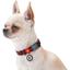 Нашийник для собак Waudog Nylon Шотландка червона, з QR паспортом, пластиковий фастекс, 35-58х2,5 см - мініатюра 4