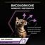 Вологий корм Purina Pro Plan Kitten Healthy Start для кошенят мус з куркою 85 г (12458617) - мініатюра 5