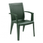 Кресло Papatya Ализе, темно-зеленый (6057) - миниатюра 1