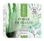 Крем для лица Lirene Power Of Plants Aloes Cream 50 мл - миниатюра 2