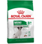 Сухий корм для собак віком від 8 до 12 років Royal Canin Mini Adult 8+, 4 кг (3002040) - мініатюра 1