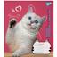 Набор тетрадей Yes Adventurous Cats, А5, в клетку, 24 листа, 20 шт. (766630) - миниатюра 1