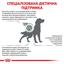 Сухий корм для дорослих собак при цукровому діабеті Royal Canin Diabetic, 12 кг (4086120) - мініатюра 5