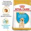 Сухий корм для цуценят породи Лабрадор Ретрівер Royal Canin Labrador Retriever Puppy, 12 кг (24911201) - мініатюра 4