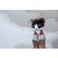 М'яка іграшка Lumo Stars Кіт Forest класичний, 15 см, коричневий (54990) - мініатюра 2