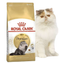 Сухий корм для персидських котів з м'ясом Royal Canin Persian Adult, 4 кг (2552040) - мініатюра 1