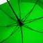 Зонт-трость Line art Bacsafe, c удлиненной задней секцией, зеленый (45250-9) - миниатюра 6