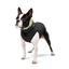 Курточка для собак AiryVest двостороння, М 40, cалатово-чорна - мініатюра 3