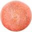 Надувной пляжный мяч Sunny Life Коралловый блеск (S1PBSNGL) - миниатюра 1