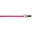 Нашийник подвійний Lucky Pet Melange, світловідбивний, 37-52х2,5 см, рожевий - мініатюра 2