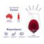 Вино Peter Lehmann Layers, червоне, сухе, 14,5%, 0,75 л (790909) - мініатюра 2