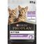 Вологий корм Purina Pro Plan Kitten Healthy Start для кошенят шматочки індички у підливці 85 г - мініатюра 1