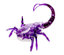 Нано-робот Hexbug Scorpion, фиолетовый (409-6592_purple) - миниатюра 1