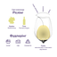 Вино Latinium Liebfraumilch, біле, напівсолодке, 9,5%, 0,75 л - мініатюра 5