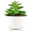 Горшок с искусственным растением МВМ My Home, 12 см, белый (DH-FLOWERS-14 S GREEN/WHITE) - миниатюра 1
