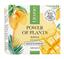 Масло для зняття макіяжу Lirene Power of Plants Make-up Remover Butter Mango 45 мл - мініатюра 2
