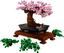 Конструктор LEGO Icons Expert Дерево Бонсай, 878 деталей (10281) - миниатюра 4