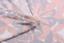 Плед Ardesto Flannel, 200х160 см, флора (ART0106PB) - миниатюра 4