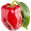Сменный картридж Click & Grow Smart Garden Красный сладкий перец, 3 капсулы (9278) - миниатюра 3