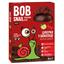 Натуральні цукерки Bob Snail Яблуко-Вишня у чорному шоколаді, 60 г - мініатюра 1