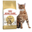 Сухой корм для кошек Бенгальской породы Royal Canin Bengal Adult, с птицей, 10 кг (4370100) - миниатюра 1