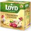 Чай фруктовий Loyd Oyd Cranberry&Ginger, журавлина імбир, в пірамідках, 40 г, 3103566 - мініатюра 4