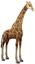 Мягкая игрушка Hansa Жираф, 130см (6977) - миниатюра 1
