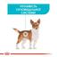 Сухий корм для собак малих порід із чутливою сечовидільною системою Royal Canin Mini Urinary Care, 1 кг (1261010) - мініатюра 3